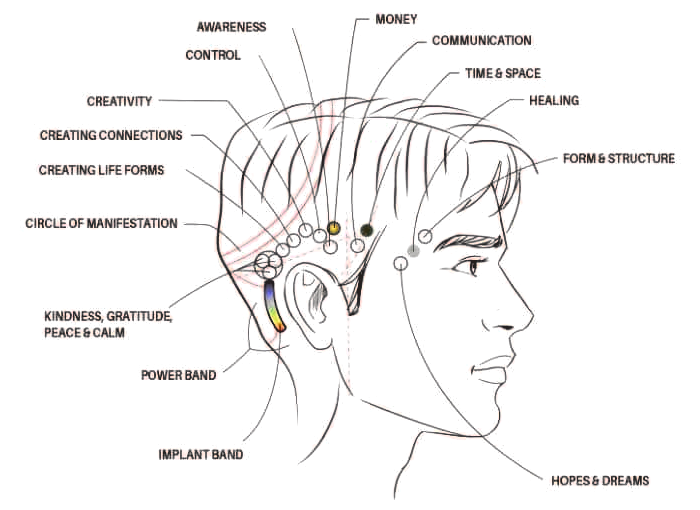 Diagram of the Access Bars points on the head, each labelled with the area of life it connects to